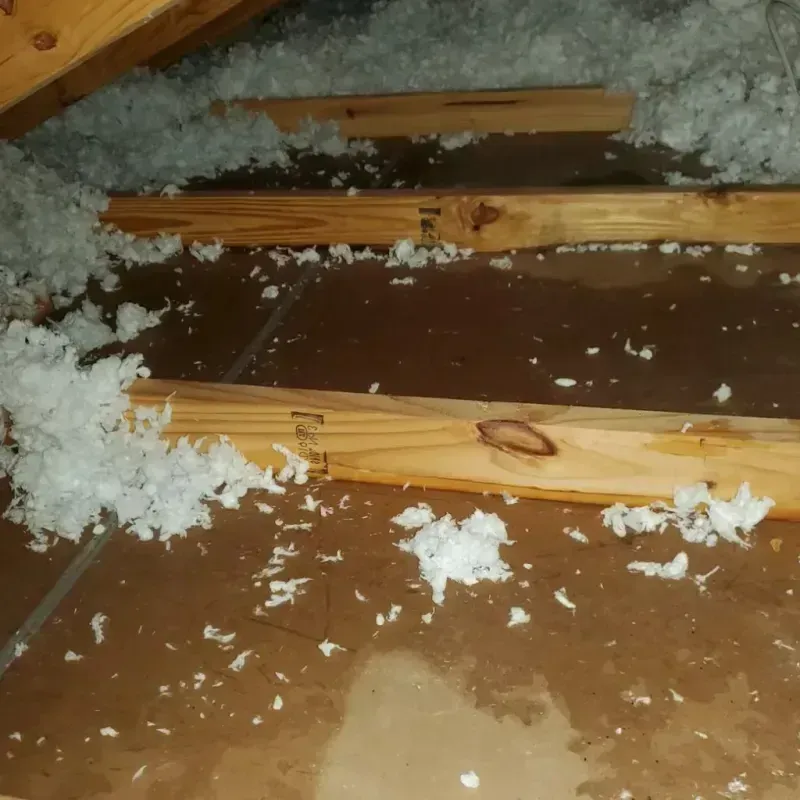 Attic Water Damage in Bear Lake County, ID