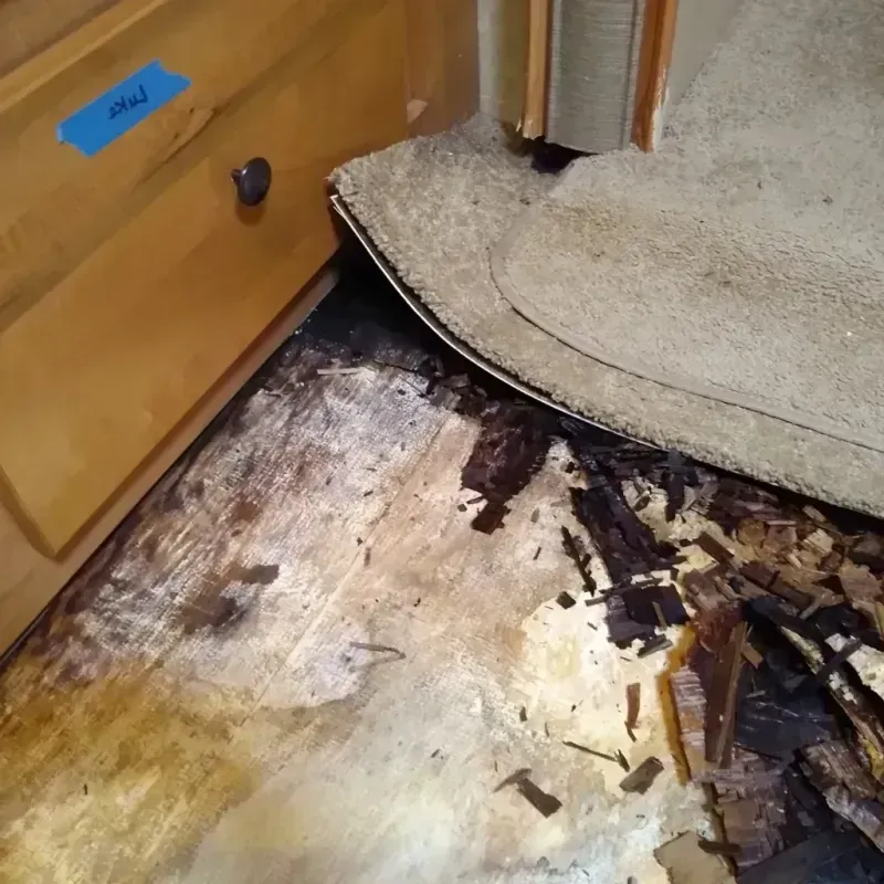 Wood Floor Water Damage in Bear Lake County, ID